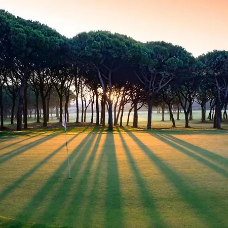 Piverd Del Golf 41 * Pals